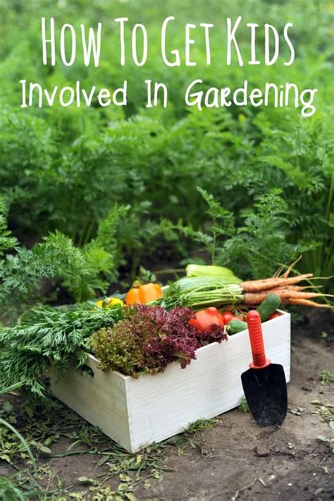 How To Get Kids Involved In Gardening Try To Garden