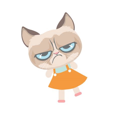 Grumpy Cat Illustrations Royalty Free Vector Graphics