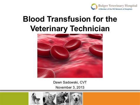 Blood Transfusion For The Veterinary Technician