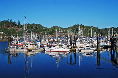 Port Hardy British Columbia Travel And Adventure Vacations