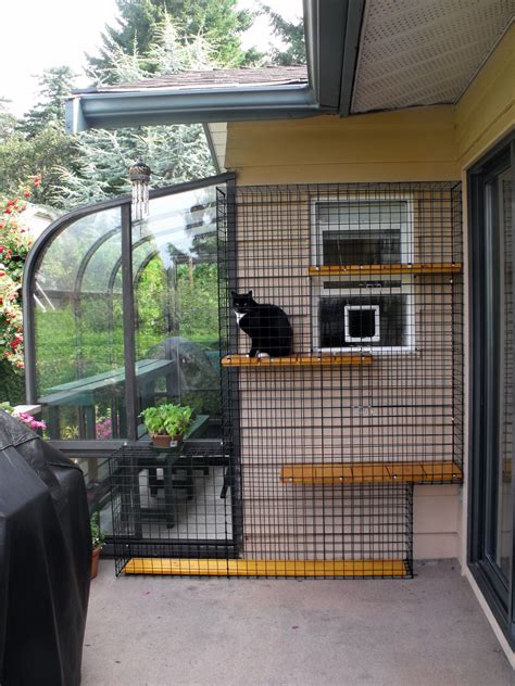 Outdoor Cat Enclosure With Greenhouse Beautiful World Living