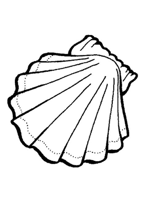 Shell Coloring Pages To Download And Print For Free