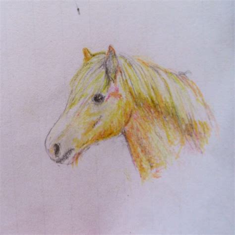 Op onze oproep om een paard te tekenen kwamen veel inzendingen binnen, vooral van heel jonge lezers. tekenen | Paardengekkenweb.jouwweb.nl