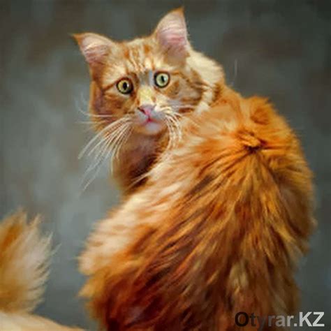 1 марта — день кошек. ТОП-5 самых популярных кошек в Казахстане | Otyrar.KZ