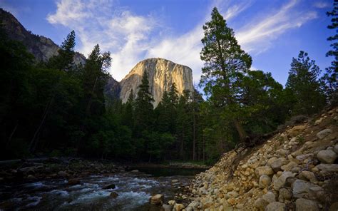 Wallpaper El Capitan Forest Yosemite National Park River Trees