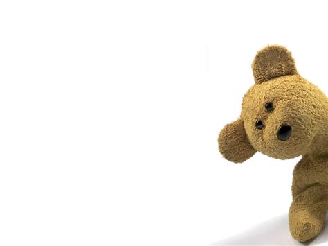 Hd Wallpapers Funny Teddy Bear Wallpapers