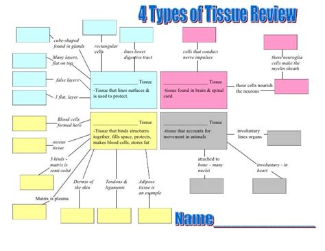 29 Epithelial Tissue Concept Map Maps Database Source