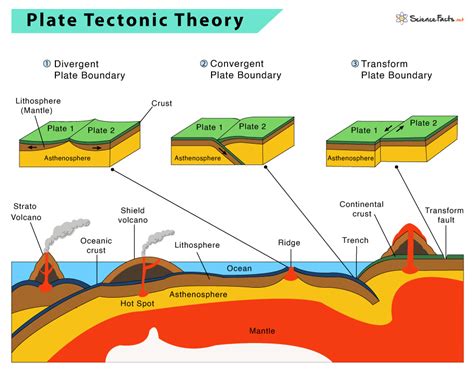 Which Best States The Theory Of Plate Tectonics Hallie Has Savage