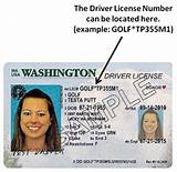 Images of Driver License Record Online