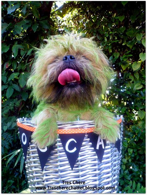 Tres Chere Oscar The Grouch Pet Costume Pet Costumes Pet Halloween