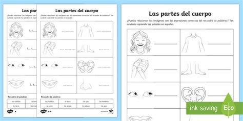 Las Partes Del Cuerpo My Body Parts Worksheet Worksheet Spanish