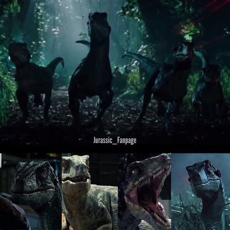 The Raptor Squad From Jurassicfanpage Ig Jurassic Park World
