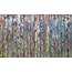 Old Wood Planks Background  PatternPictures
