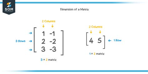 Dimension Of A Matrix Explanation Examples