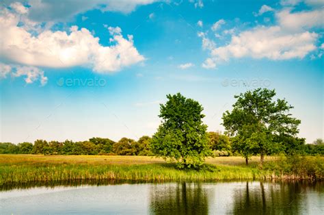 Sunny Summer Landscape With A Beautiful Forest Stock Photo By Yourapechkin