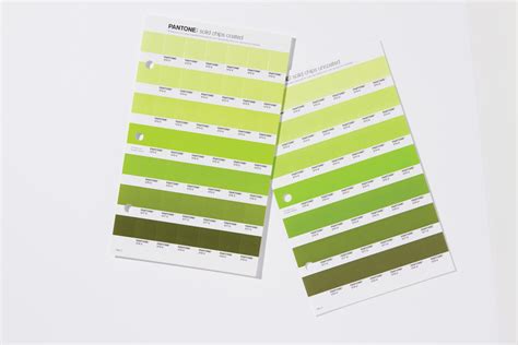 Pantone Announces The Color Of The Year 2017 Greenery — The Dieline