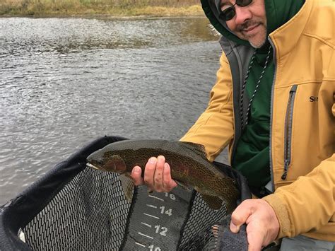 Madden Fly Fishing Guides Wolf Creek 2022 What To Know Before You Go
