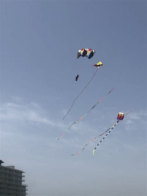 The Best Beach Kites For An Awesome Display If It Can Fly
