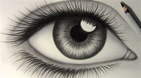 How To Draw A Realistic Eye Easy Craft Idea