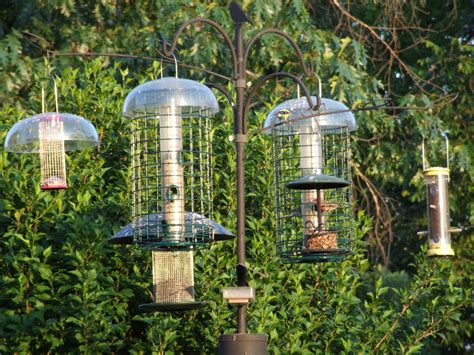 These Feeders All Have Cages That You Put On To Keep Squirrels And