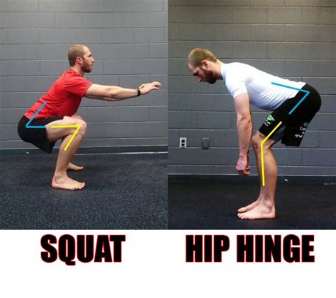 Deadlift Or Squat Which Is Best For Mass