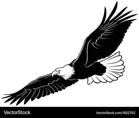 Flying Bald Eagle Royalty Free Vector Image Vectorstock