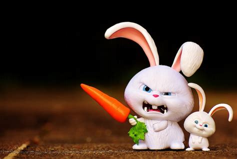 Evil Rabbit Images Free Photos Png Stickers Wallpapers
