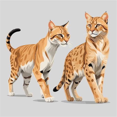 Premium Vector Wild Cats Vector