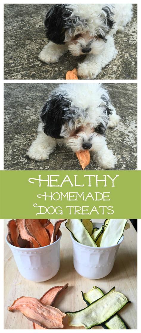 Healthy Homemade Dog Treats My Life Cookbook