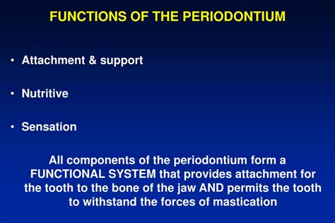 Ppt Functions Of The Periodontium Powerpoint Presentation Free