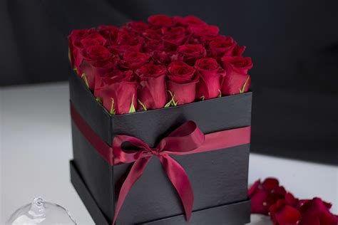 2 Dozen Red Roses In A Box In Miami Fl Luxury Flowers Miami