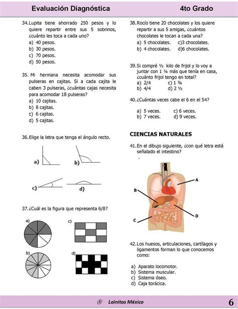 EvaluaciÓn Diagnostica 3º Y 4º Primaria Artofit