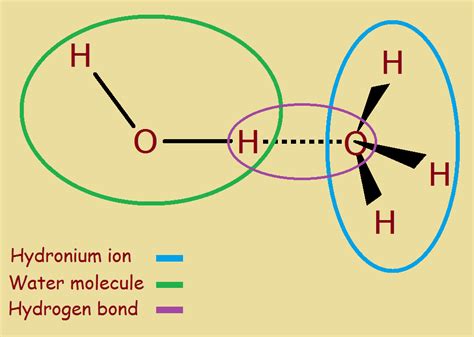 Hydronium Ion Hydrate Its Cause And Molecular Structure