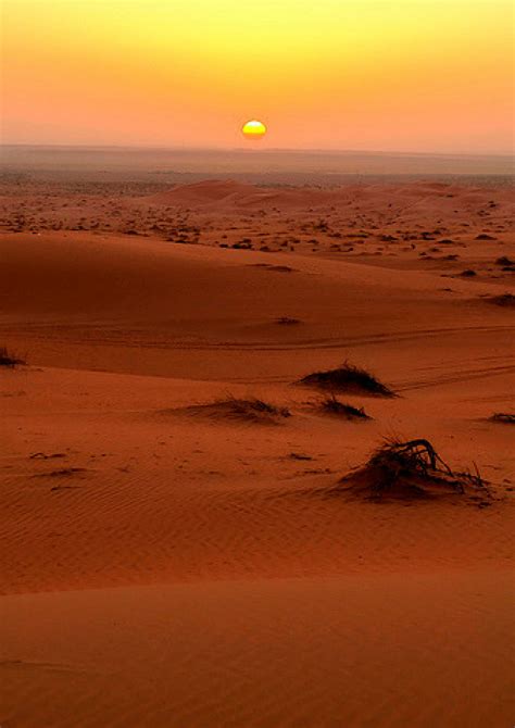 SAHARA DESERT, Morocco | Desert sunset, Desert aesthetic, Desert sunrise