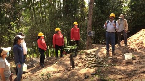 Proyecto Huallaga Promueve ReforestaciÓn Y RecuperaciÓn De Ojo De Agua
