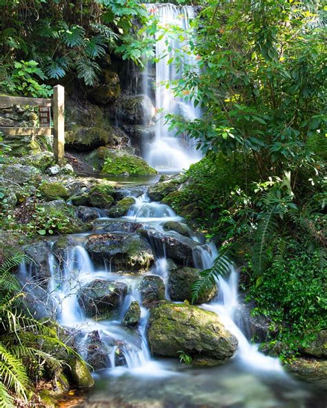 7 Enchanting Waterfalls In Florida To Add To Your Southern Us Bucket