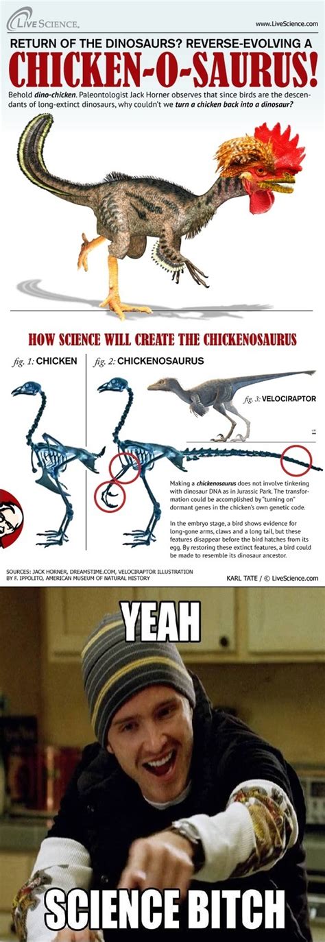 24 Best Yeah Science Bitch Memes Ever Made