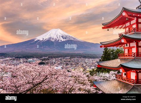 Fujiyoshida Japón En Chureito Pagoda Y El Monte Fuji En La Primavera
