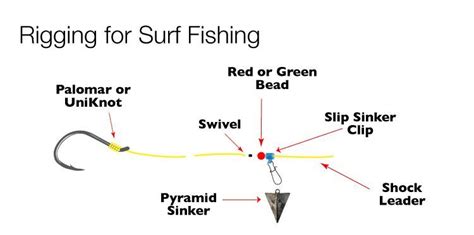 Pin On Saltwater Fishing Shoreline