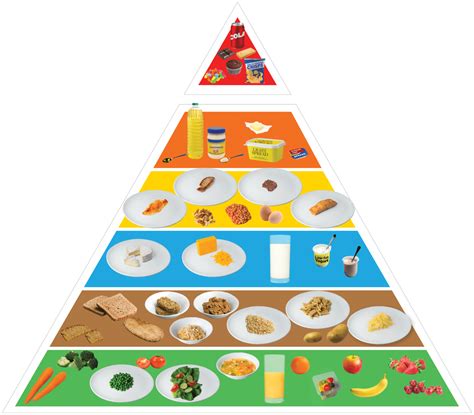 Food Pyramid Cartoon