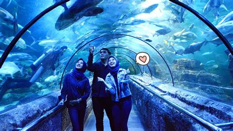 Seaworld Ancol Pembelian Tiket Hingga Aneka Wahana Keren Yang Bisa