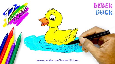 bebek  menggambar  mewarnai gambar hewan