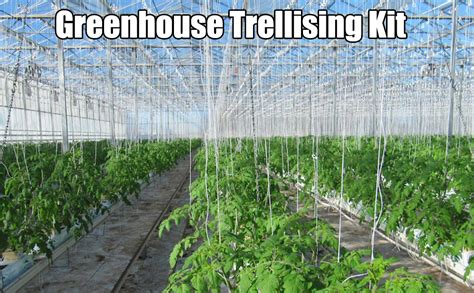 Greenhouse Trellising Kit 10pcs Plant Roller Hooks With