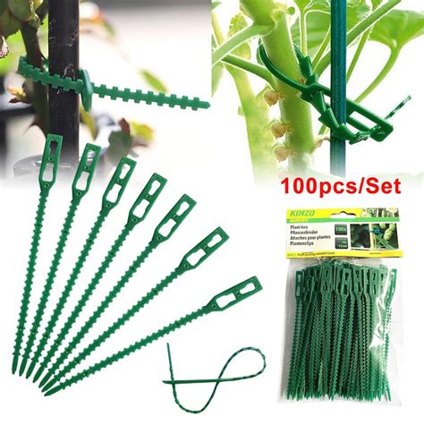 Cheap 50100pcs Reusable Plastic Plant Support Clips Clamps Plants