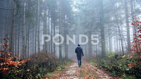 Misty Autumn Forest Path Wallpapers Wallpaper Cave