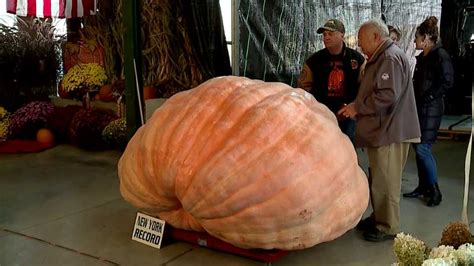 New East Coast Record Set For This Years Largest Pumpkin At Weigh Off In Canfield