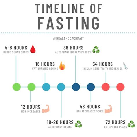 204 Omad Intermittent Fasting Protocol Guide For Weight Loss