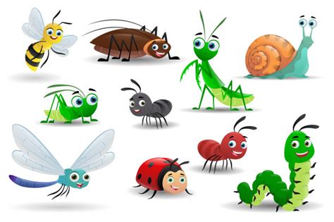 Premium Vector Set Of Cartoon Insects On White