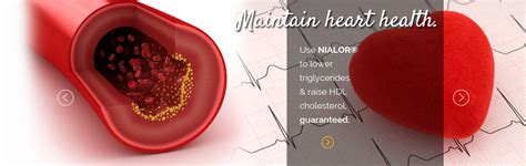 Lower cholesterol do you know how to lower cholesterol? Best Choice to Lower Triglycerides | Arizona Pharmaceuticals