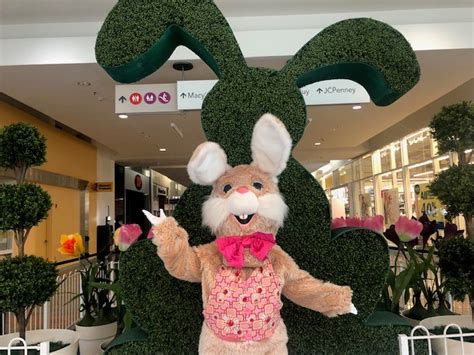 Hop To The Capital Mall For Easter Bunny Photos ThurstonTalk